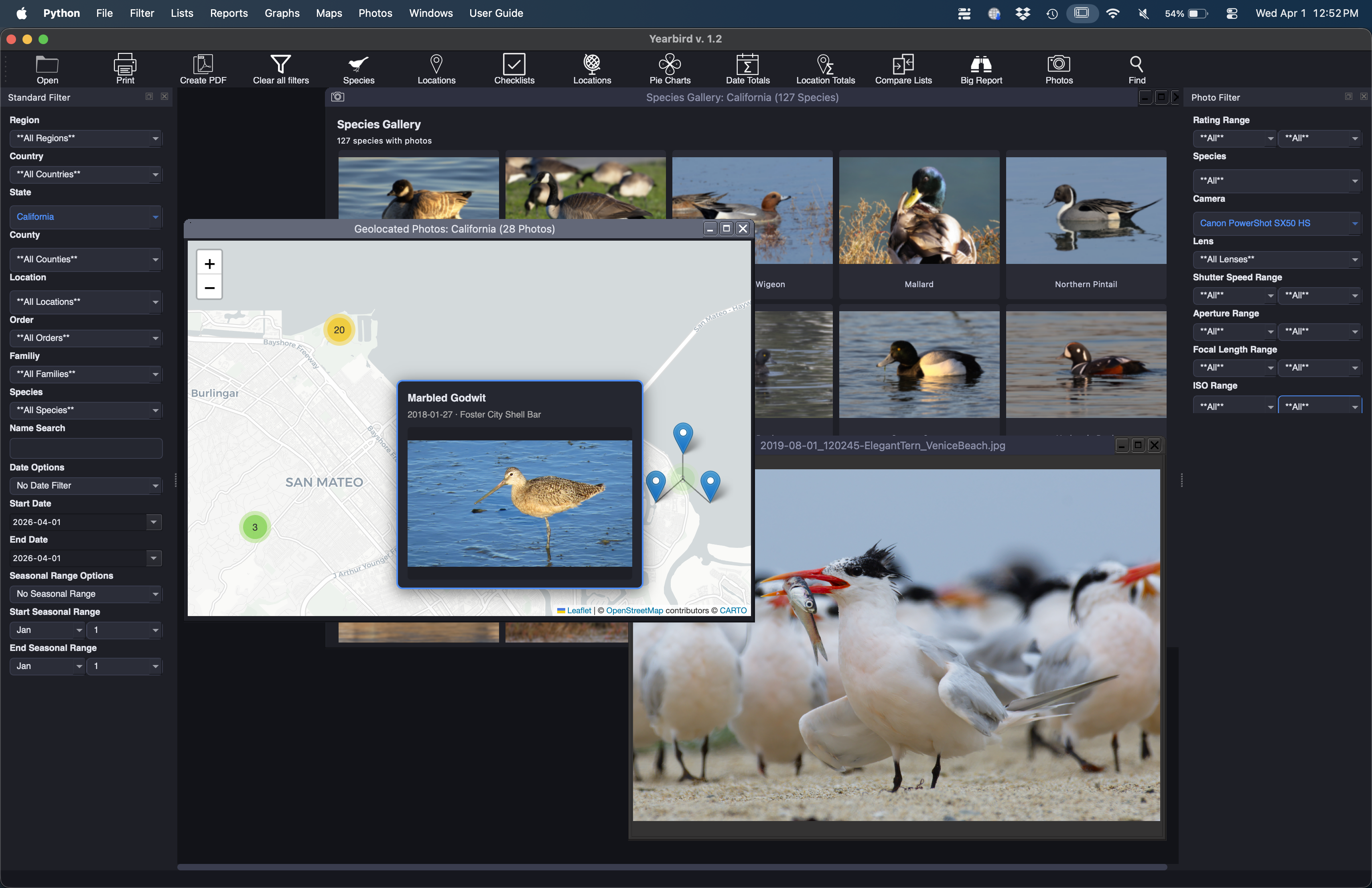 Yearbirder Photos: species gallery, geolocated photos map, and enlargement