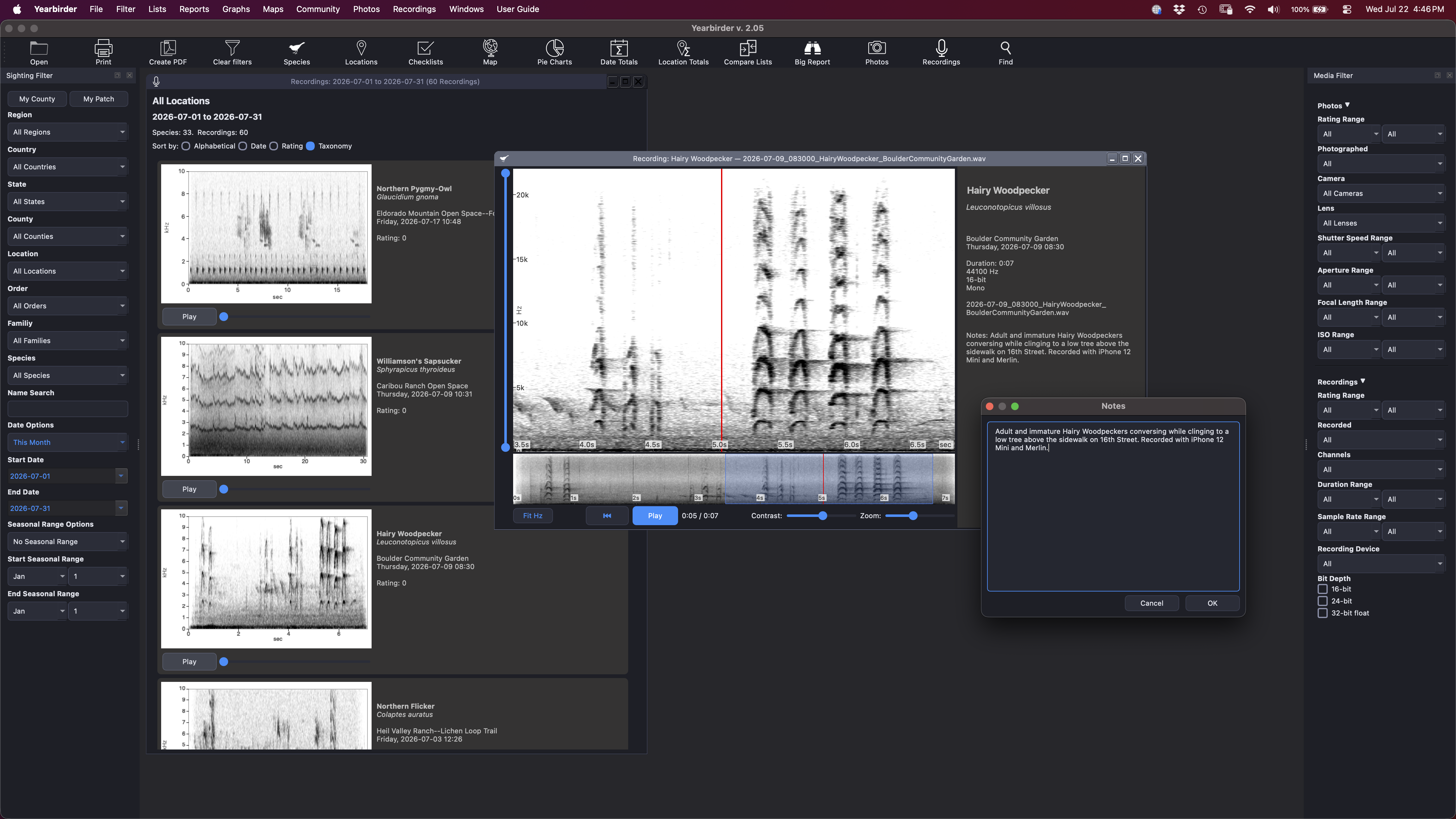 Yearbirder Recordings browser showing spectrogram cards with playback controls