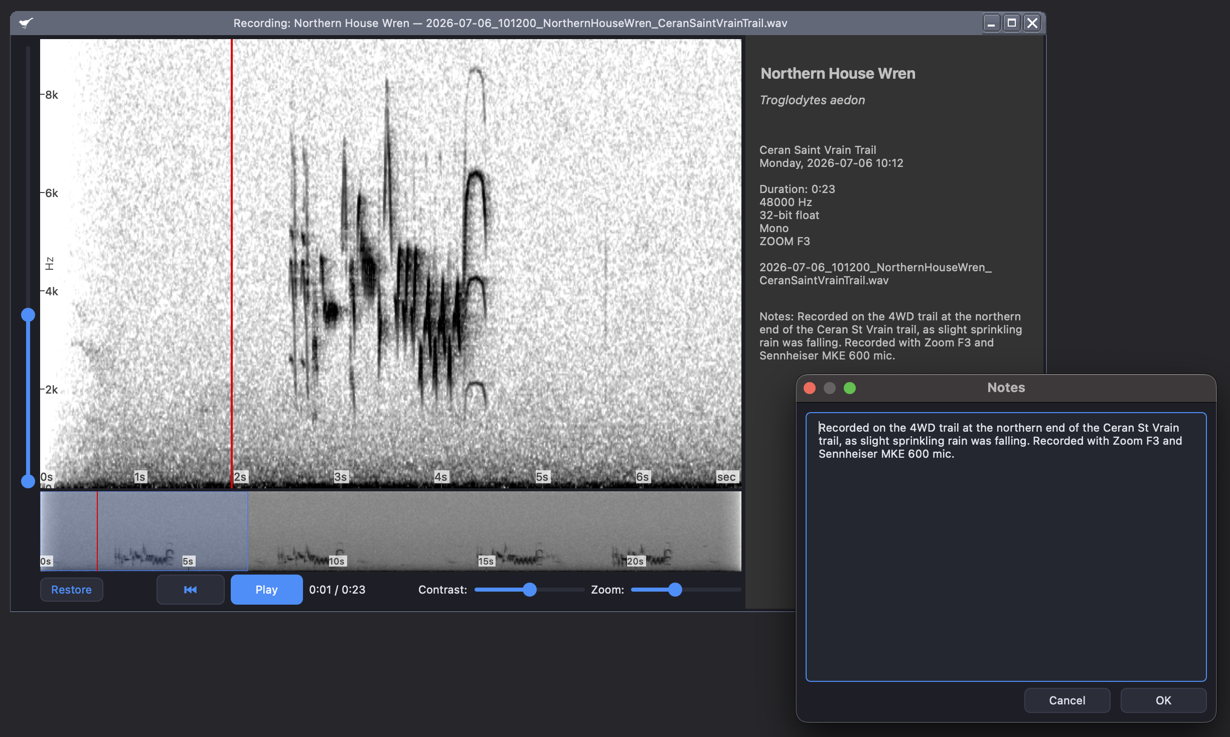 Yearbirder recording enlargement with a large spectrogram and playback cursor