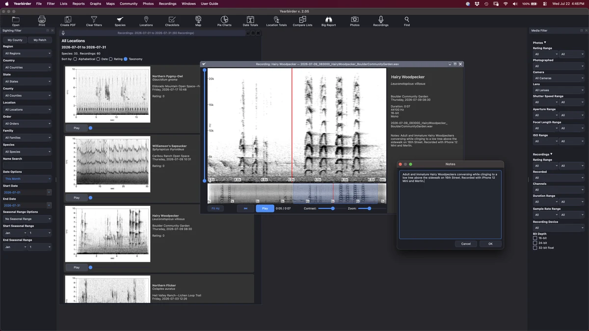 Yearbirder Recordings browser showing spectrogram cards with playback controls